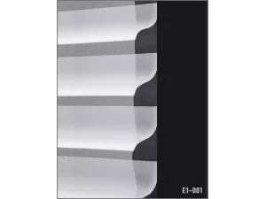 E1