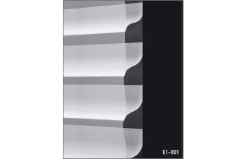 E1