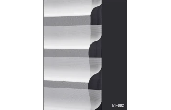 E1 - Image 2
