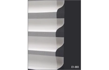 E1 - Image 3
