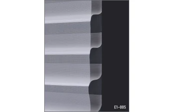 E1 - Image 5