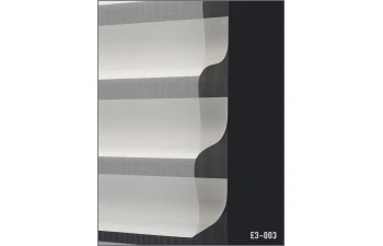 E3 - Image 2