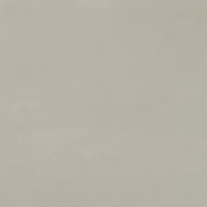 PURE GRAY LIGHT